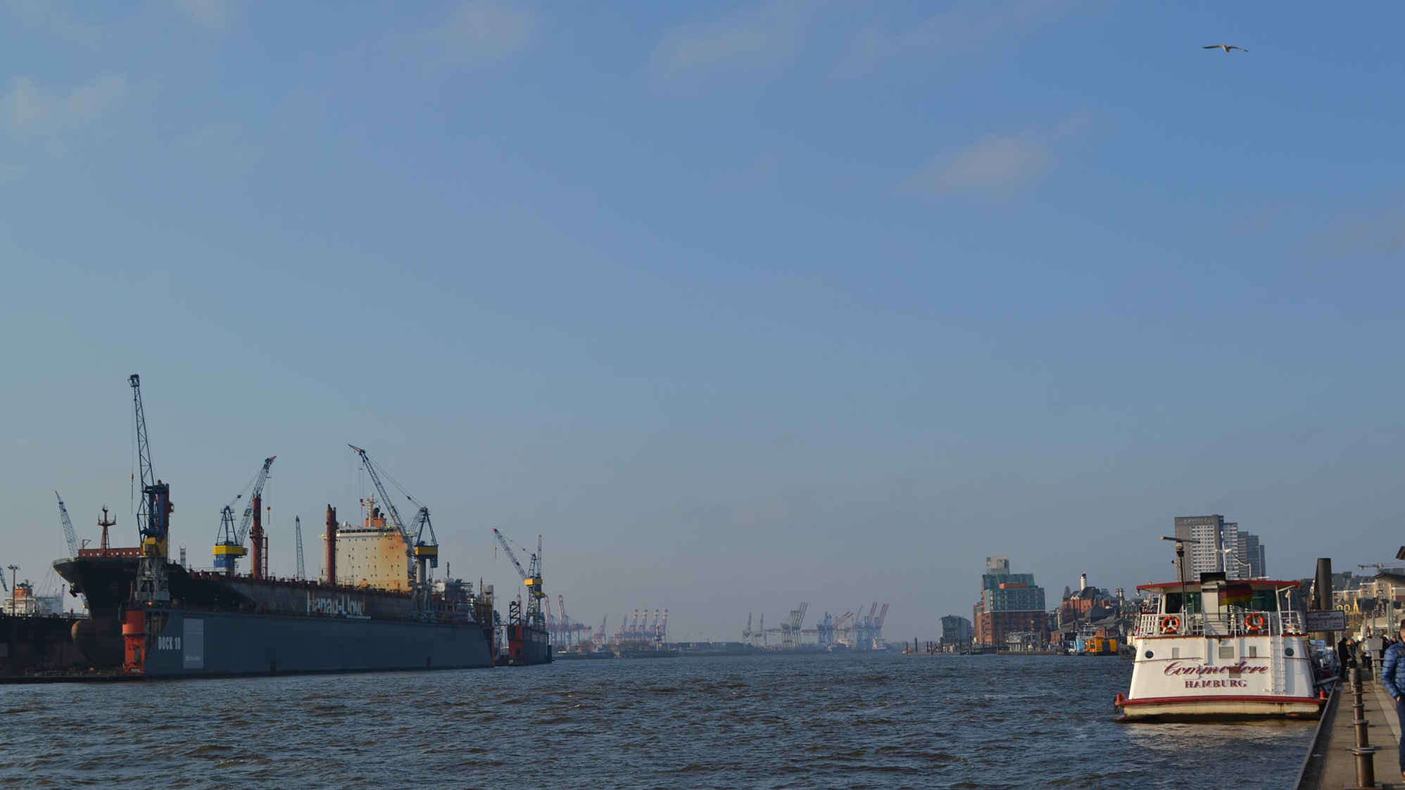 Blick auf den Hamburger Hafen mit verschiedenen Frachtschiffen